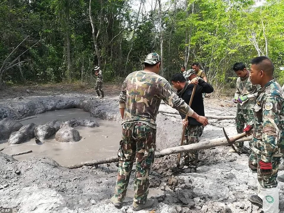 Unveiling the Heroic Rescue: Park Rangers Save Six Baby Elephants Trapped in Mud Pit in Kaeng Krachan
