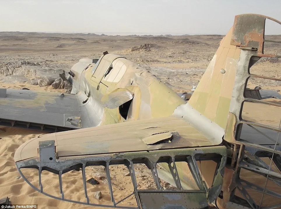 70-Year-Old WWII Kittyhawk Plane Gets Jaw-Dropping Shark's Teeth Makeover in Sahara Crash Site - You Won't Believe the Incredible Transformation
