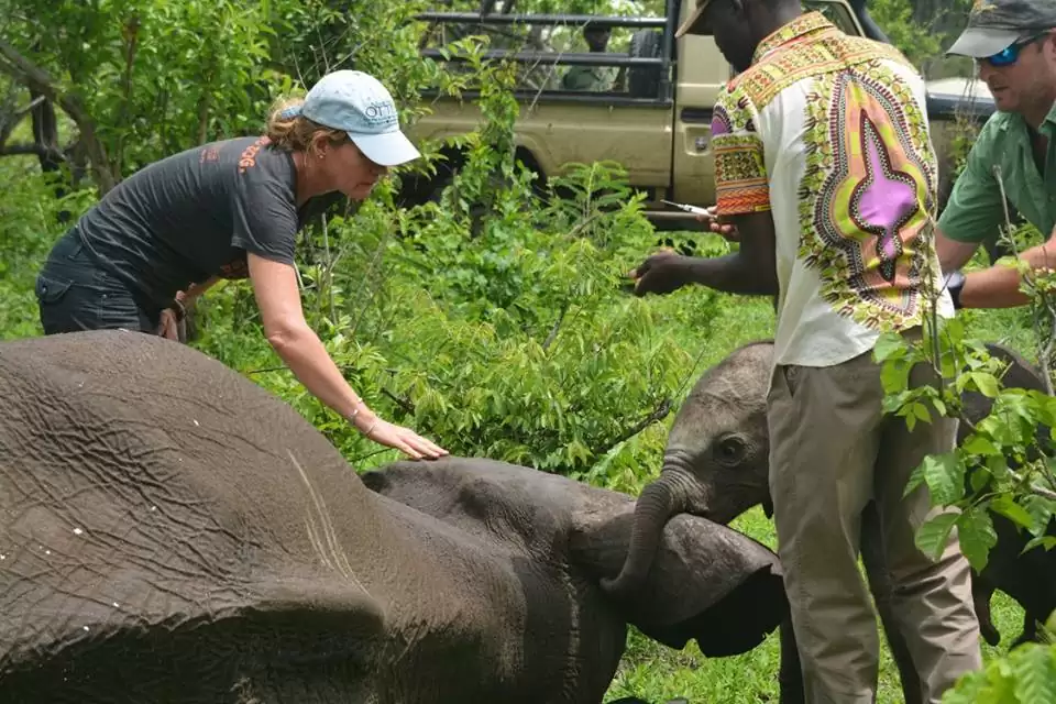 Heartwarming Elephant Rescue: A Tale of Unconditional Love