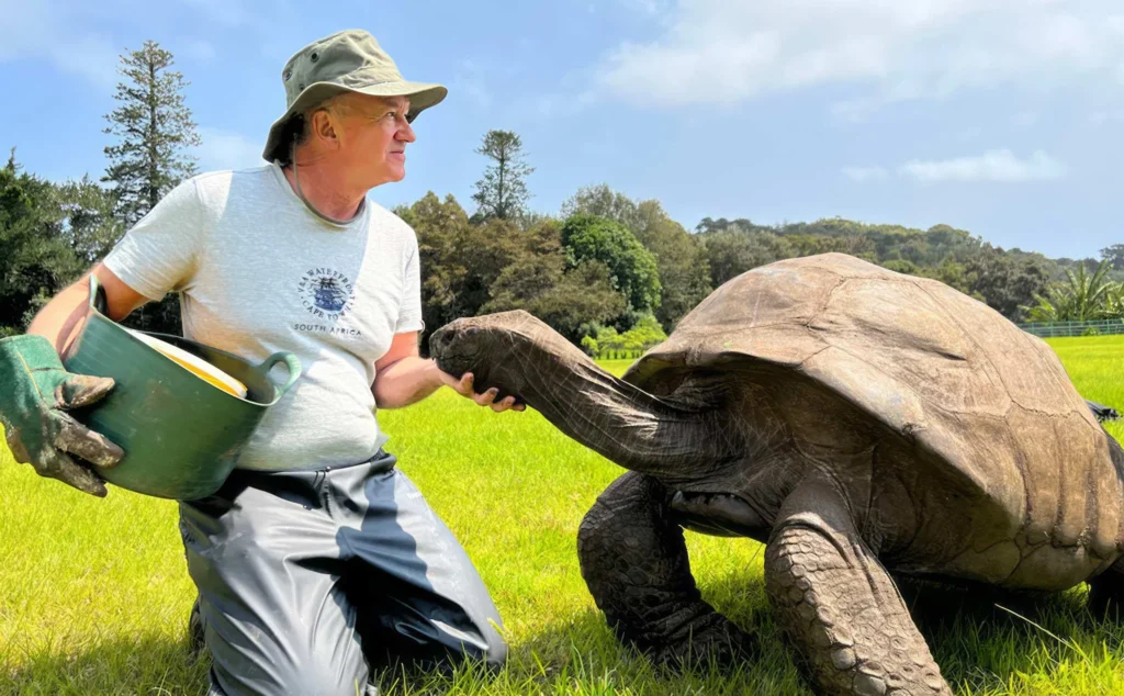 The Remarkable Reunion: A Giant Turtle's Gratitude Returns After a Decade