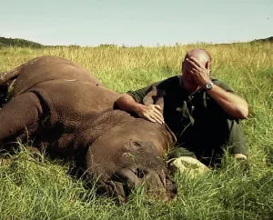 From Loss to Hope: Rhino Owner Finds Solace in Unexpected Birth