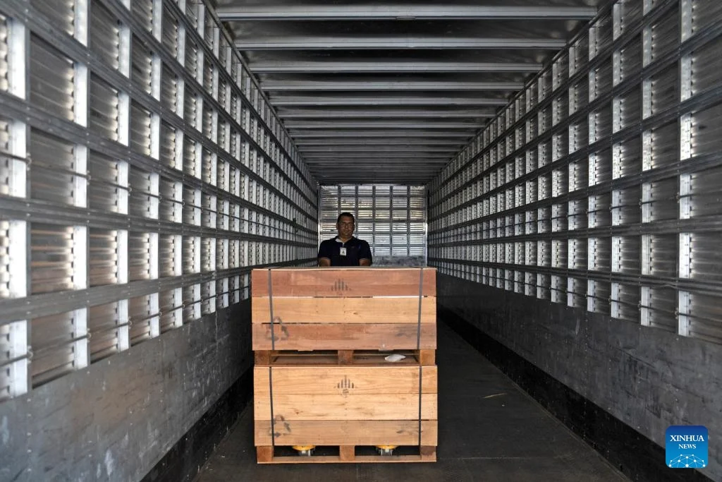 China Unveils First Large-Scale Sodium Ion Battery Storage Station, Ushering in New Era for Sustainable Energy